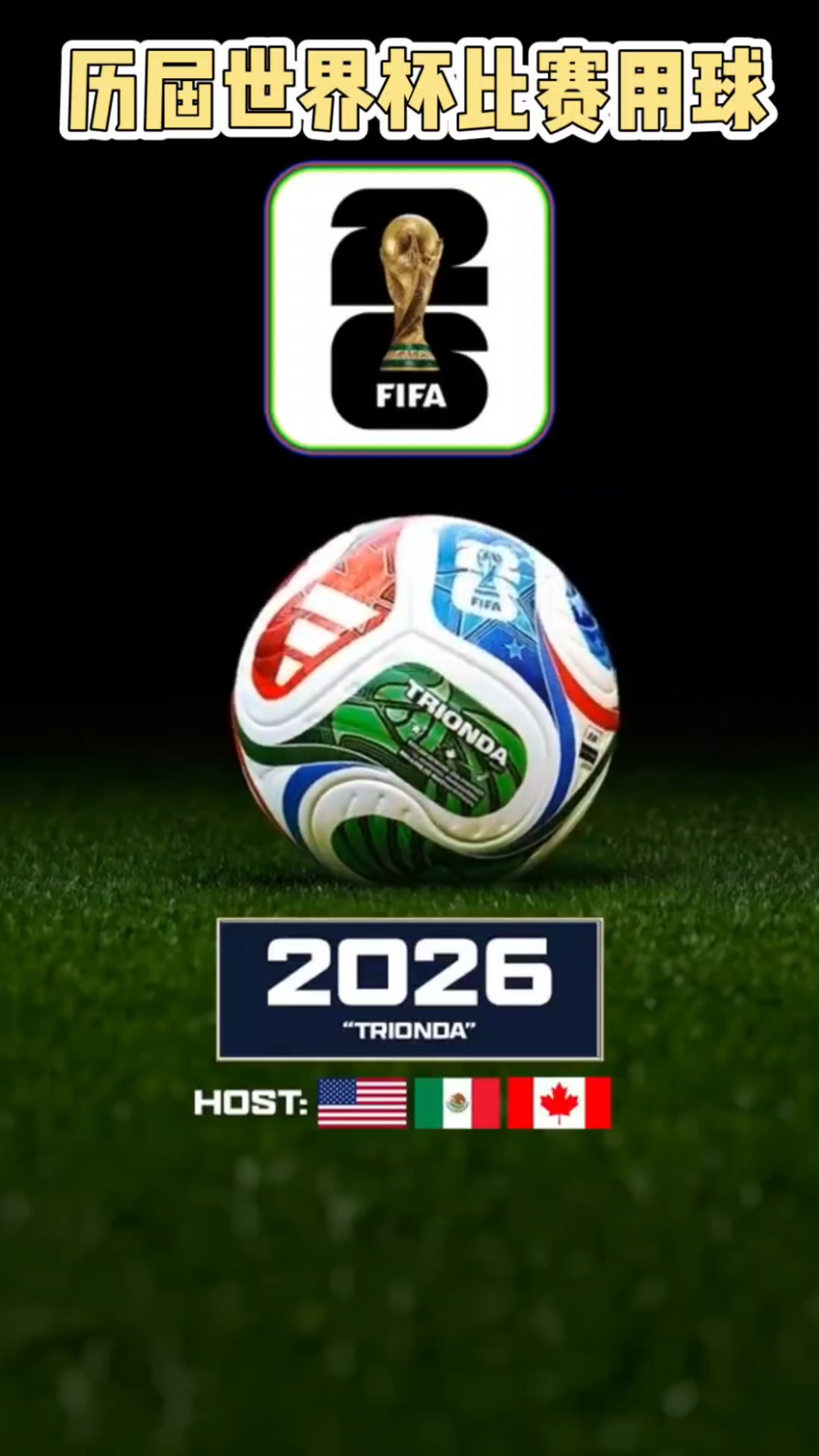 第17圈，诺里斯和勒克莱尔先后进站，出站后诺里斯卡在安东内利身后暂列第9。